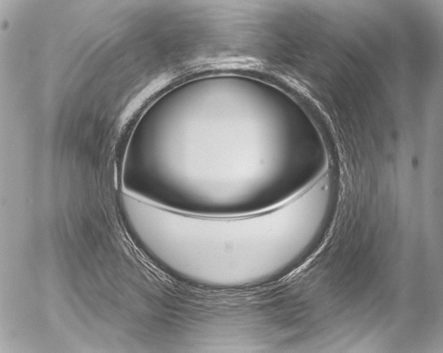 X0000058791317200509300831