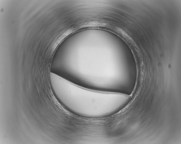 X0000058791329200509300831