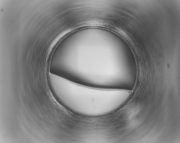 X0000058791331200509300831