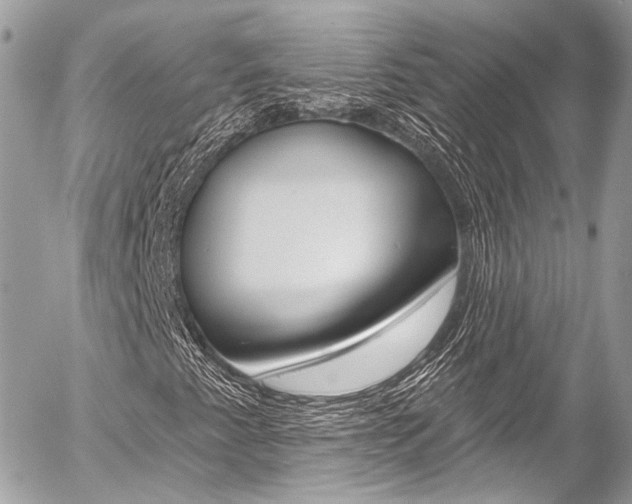 X0000058791345200509300830