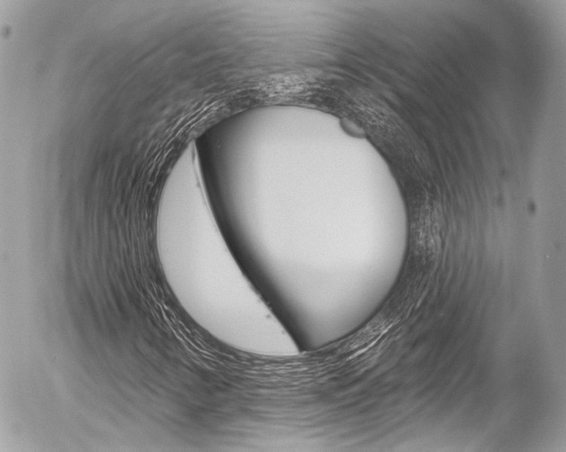 X0000058791346200509300830