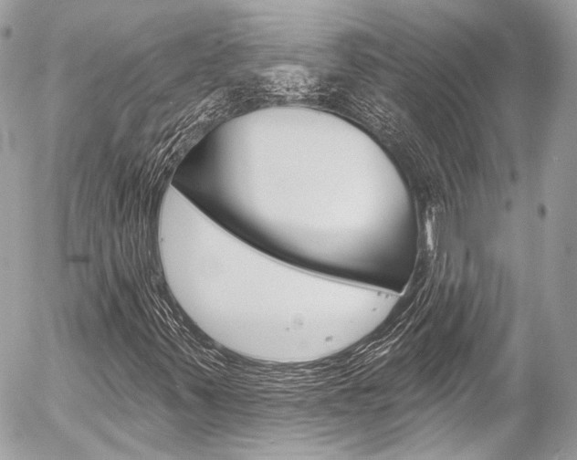 X0000058791347200509300830