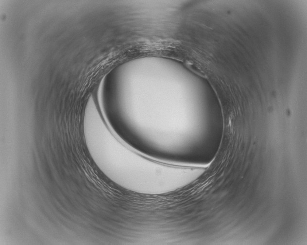 X0000058791348200509300830