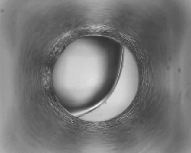 X0000058791349200509300830