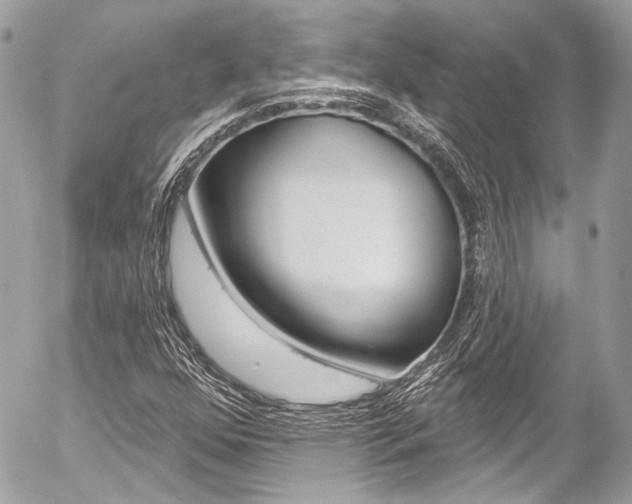 X0000058791352200509300830