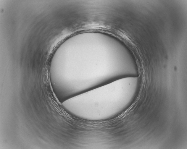 X0000058791358200509300830