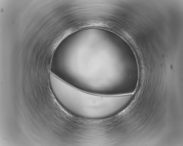 X0000058791377200509300830