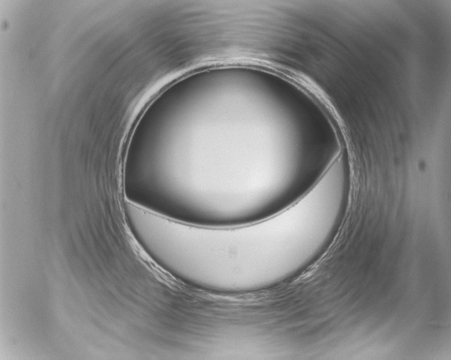 X0000058791388200509300829