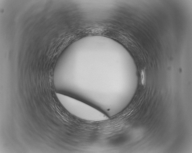 X0000058791395200509300829