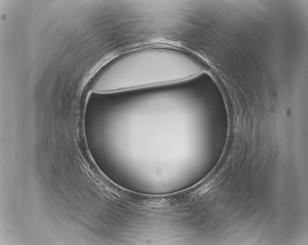 X0000058791410200509300829