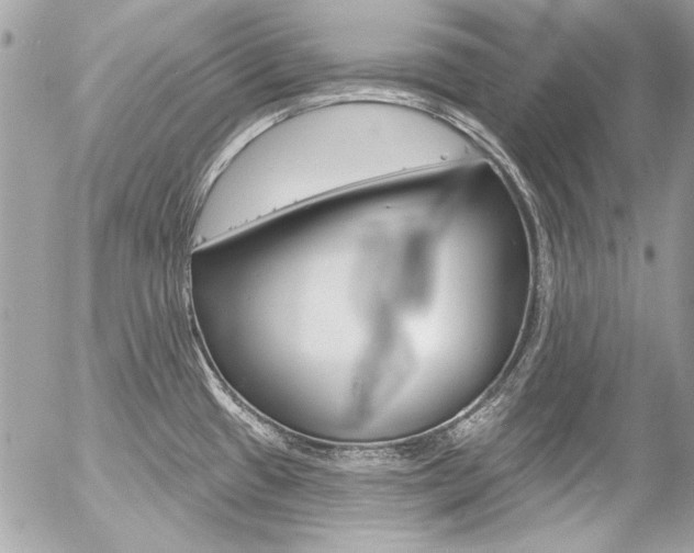 X0000058791433200509300829