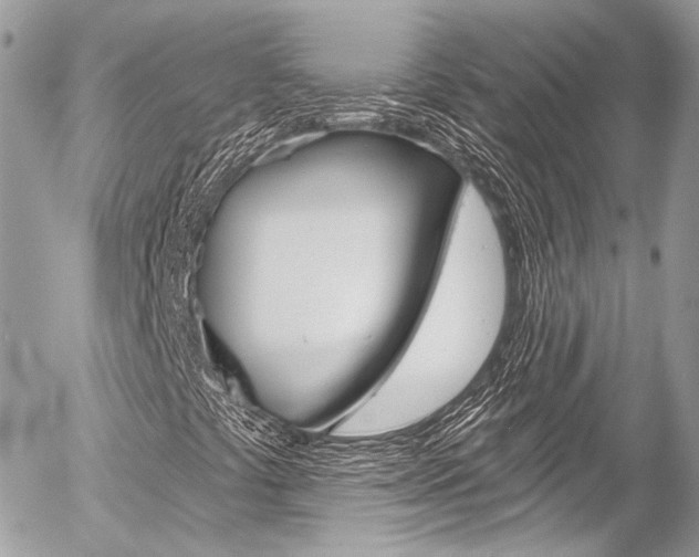X0000058791441200509300829
