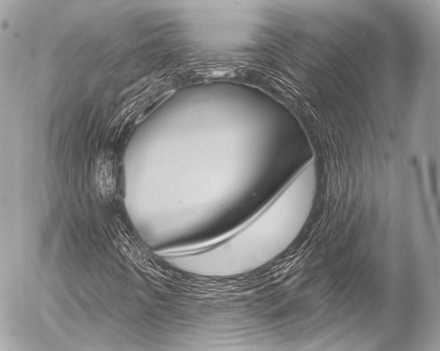 X0000058791442200509300829