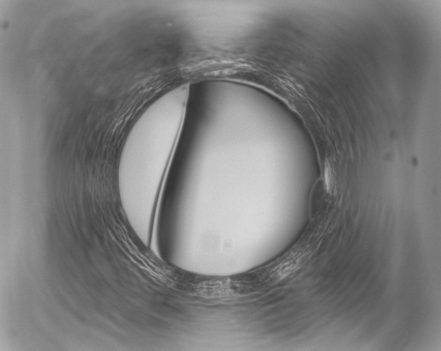 X0000058791444200509300829