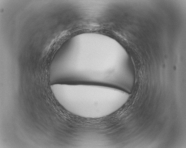 X0000058791447200509300829