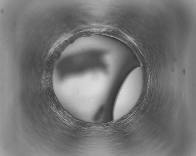 X0000058791448200509300828