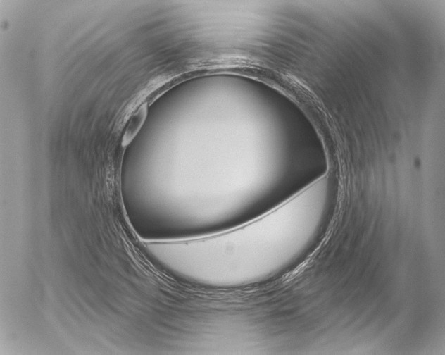 X0000058791457200509300828