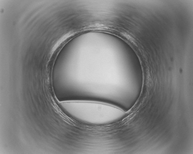 X0000058791458200509300828