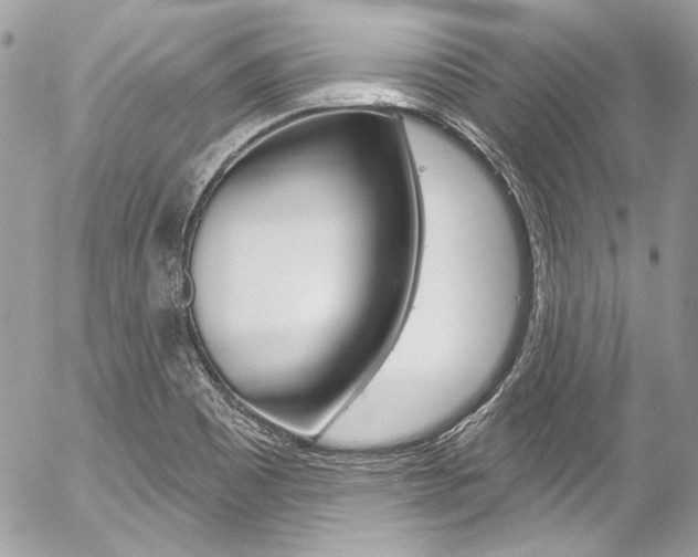 X0000058791465200509300828