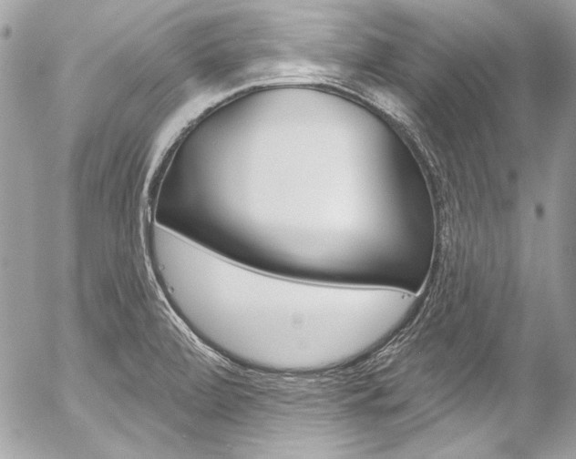 X0000058791472200509300828