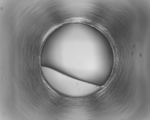 X0000058791473200509300828