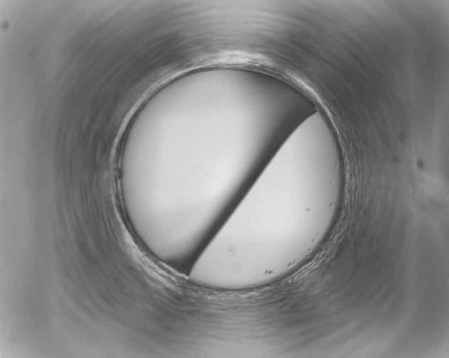 X0000058791475200509300828