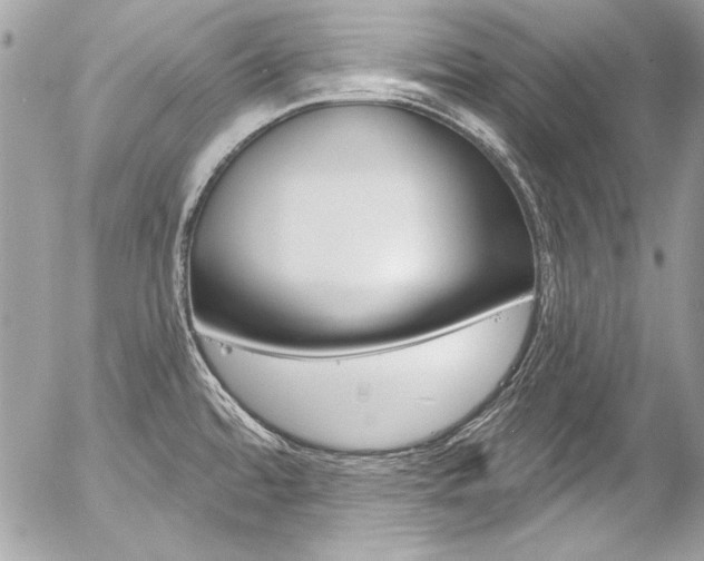 X0000058791480200509300828