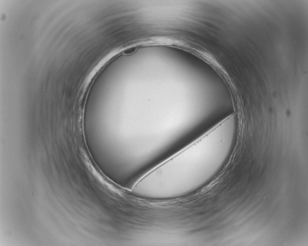 X0000058791484200509300828