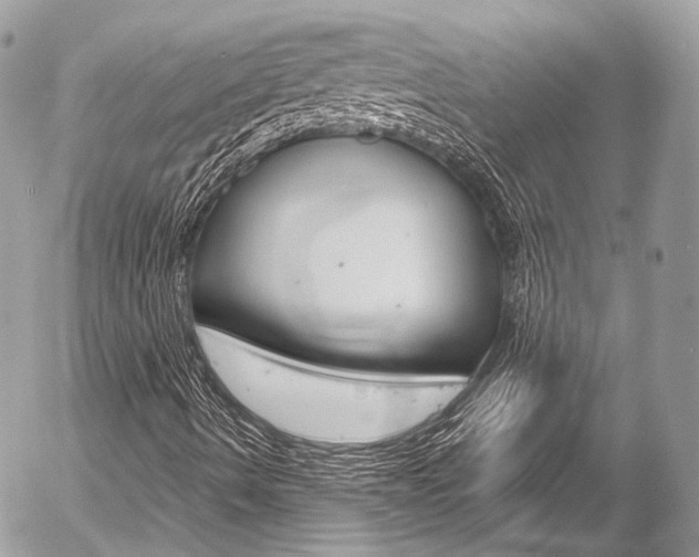 X0000058791490200509300827