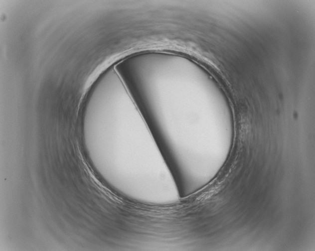 X0000058791509200509300827
