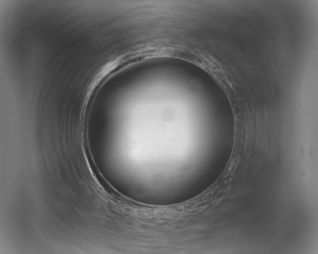 X0000058790003200509301153