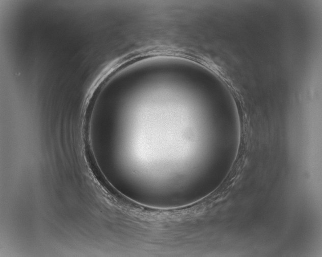 X0000058790007200509301153