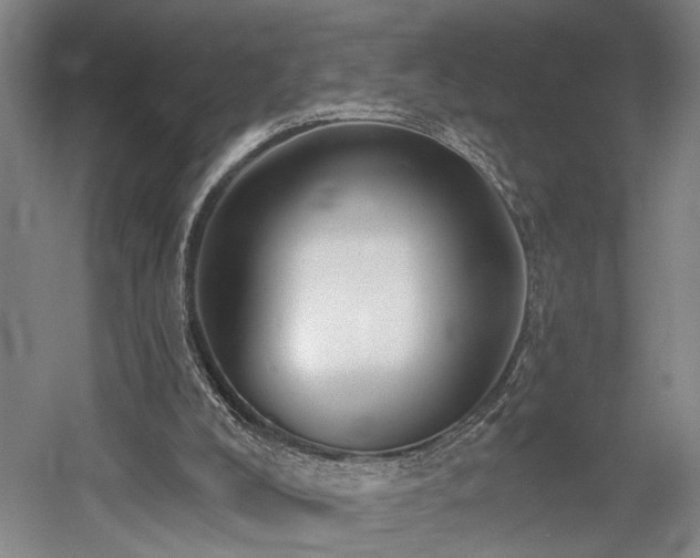 X0000058790008200509301153