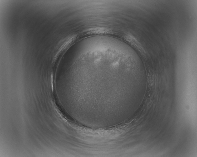 X0000058790014200509301153