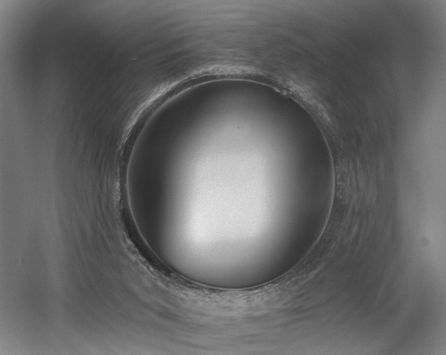 X0000058790015200509301153