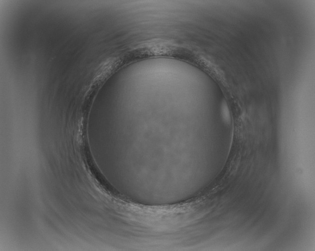 X0000058790018200509301153