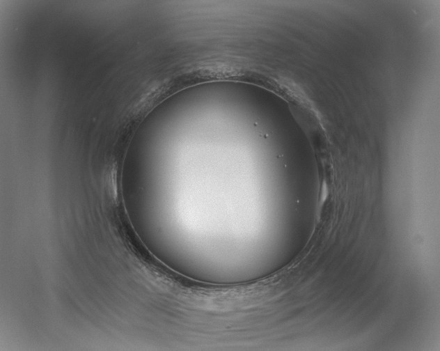 X0000058790021200509301153