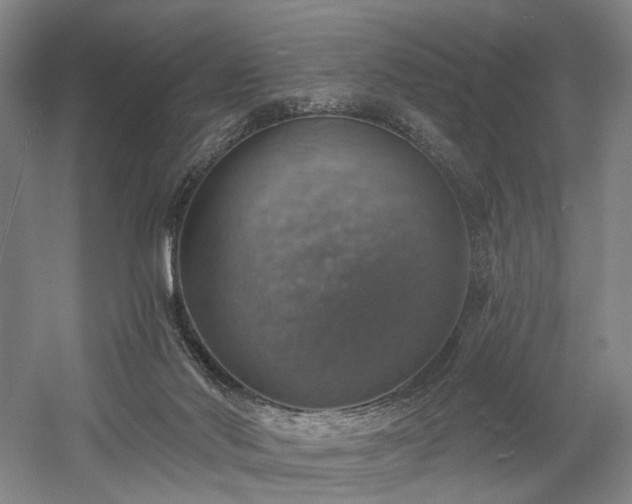 X0000058790022200509301153