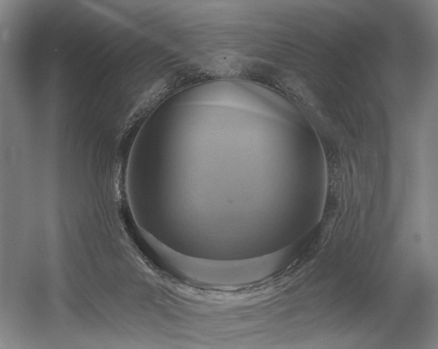 X0000058790023200509301153