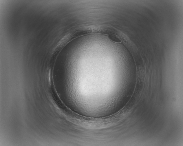 X0000058790024200509301153