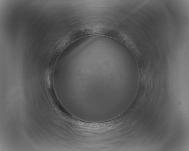 X0000058790026200509301153