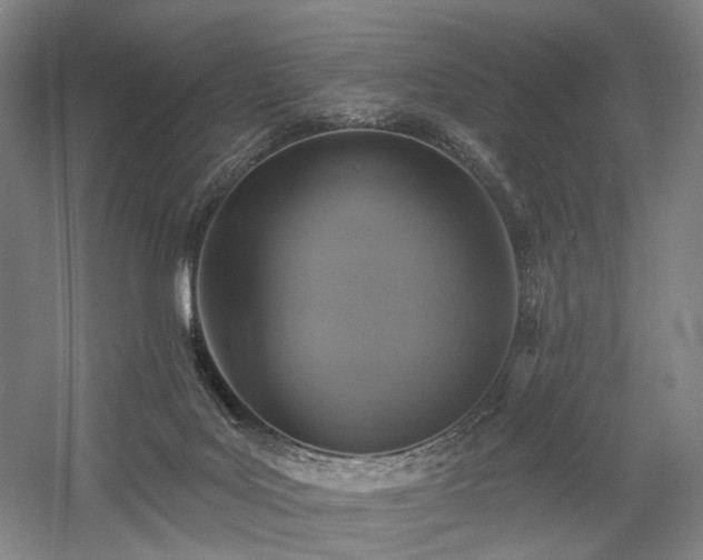X0000058790027200509301153