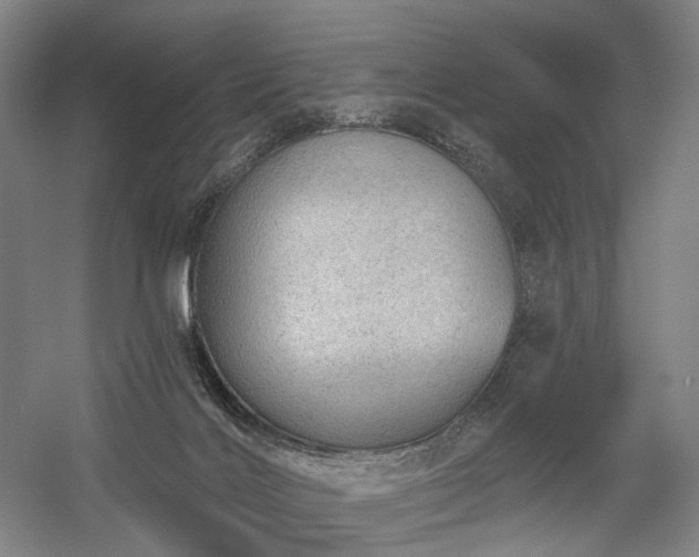 X0000058790028200509301153