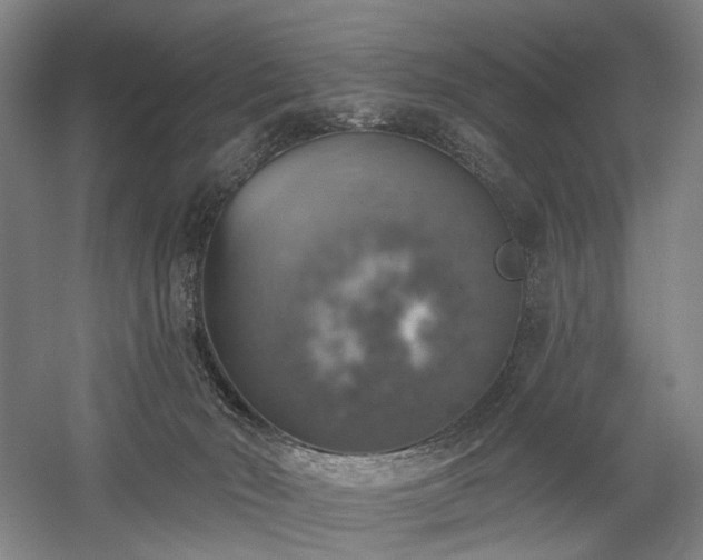 X0000058790030200509301153