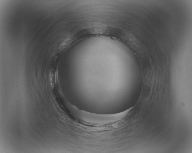 X0000058790031200509301153