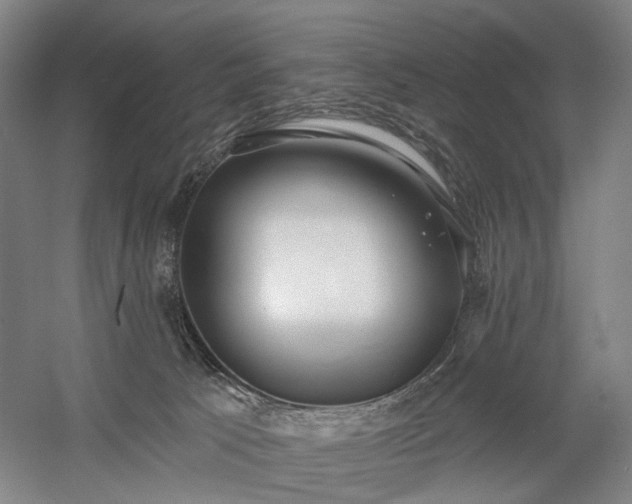 X0000058790033200509301153