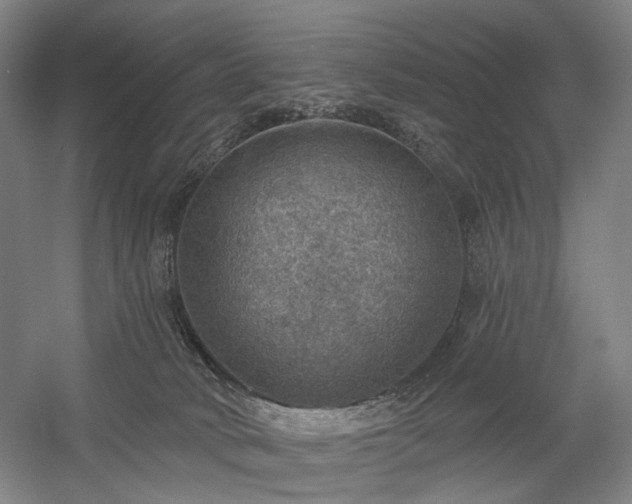 X0000058790034200509301153