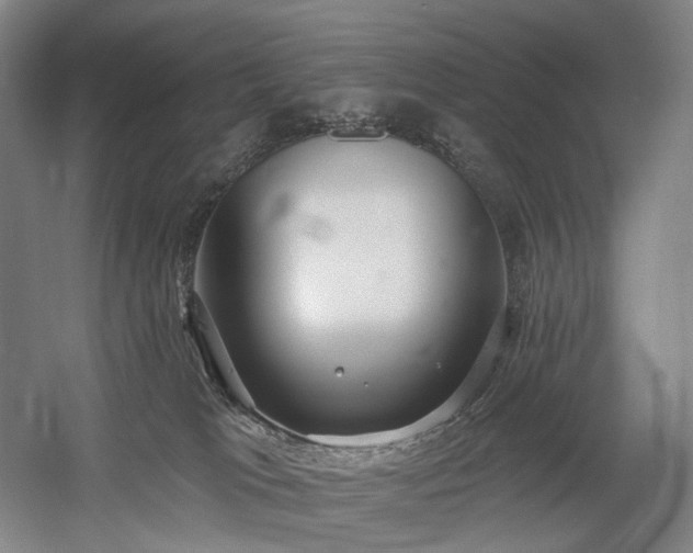 X0000058790037200509301152