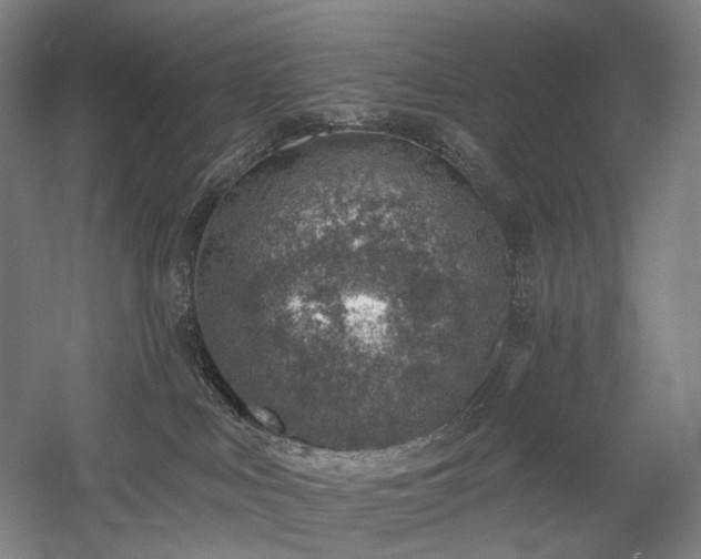 X0000058790043200509301152
