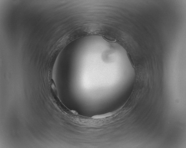 X0000058790044200509301152